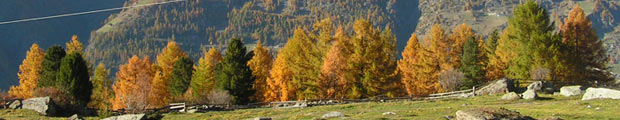 headerbild_ueber_uns